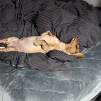 「腰に効くわぁ〜」の表情