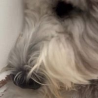 ポン太ちゃんの反応は…？