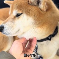 いじけているようです