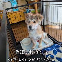 数ヶ月後のむぎちゃん