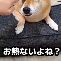 熱を測って説得