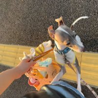 遠くを見るうみちゃん