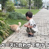 草の匂いをクンクン…