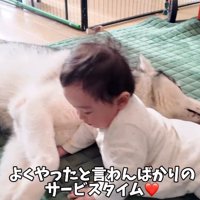 「よくやった」