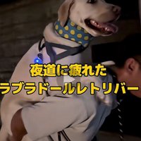 まさかのギブアップ！
