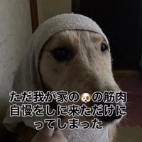 筋肉自慢しちゃいました