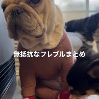 奪いに来てます