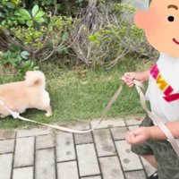 仲良くお散歩する姿にほっこり♡
