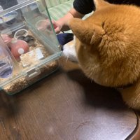 今日は何をしてるのかな？