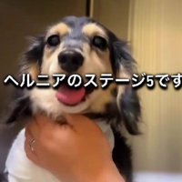 ヘルニアグレード5と診断