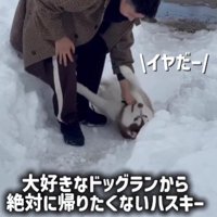 渾身の帰宅拒否を発動！！