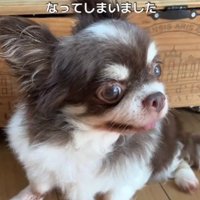 ひとりぼっちになった大豆ちゃん