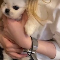 ぼんやり眠そうな表情
