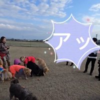 おやつを食べられたにこちゃん