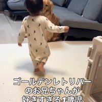 ピノくんに駆け寄る息子さん