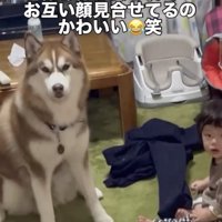 おばあちゃん「仲良くよ！」