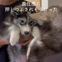 はまちちゃんの成長記録3