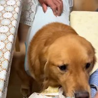 愛に溢れた光景にほっこり♡