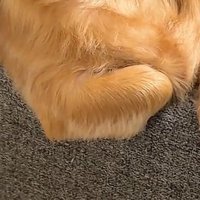 手のアップ