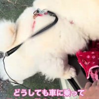 なかなか乗れない…
