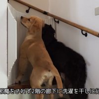 「僕も行きたいのに～」