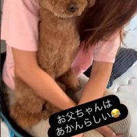 ドルくんの家族への態度の差5