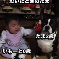 小さな女の子が誕生