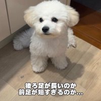「問題ありません」