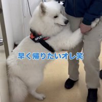 診察台を降りたらへっぴり腰に