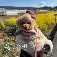 飼い主に抱っこされる犬