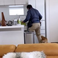 ピッタリとついて行きます