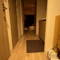 部屋の奥から走ってくるイブキくん