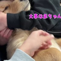 子犬期の娘さんとアルトちゃん