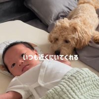 甲斐甲斐しくお世話