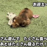 のびのびとした毎日