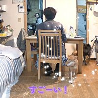 ハルヱちゃんが呼んできてくれたそう