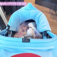 お店に到着