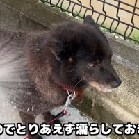 暑いので水をかけたら…
