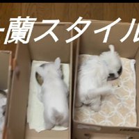 自分のペースで食べられる