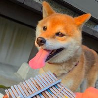 誇らしげ