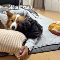 ママに目配せ