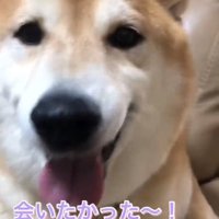 テンションが高いお姉ちゃん