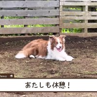 ちょっぴり一休み♪