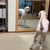 「え…誰これ…？」