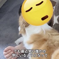 くっついて寝てみたり