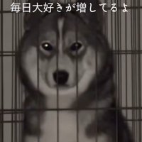 はまちちゃんの成長記録9
