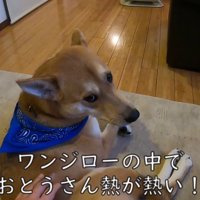 お父さんのそばでまったり♪