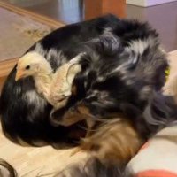 種を超えた絆にホッコリ♡