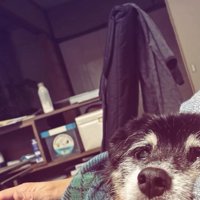 抱っこされるツナ君