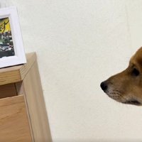 悲しい横顔に胸が痛む